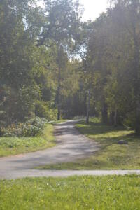 Picture 027
